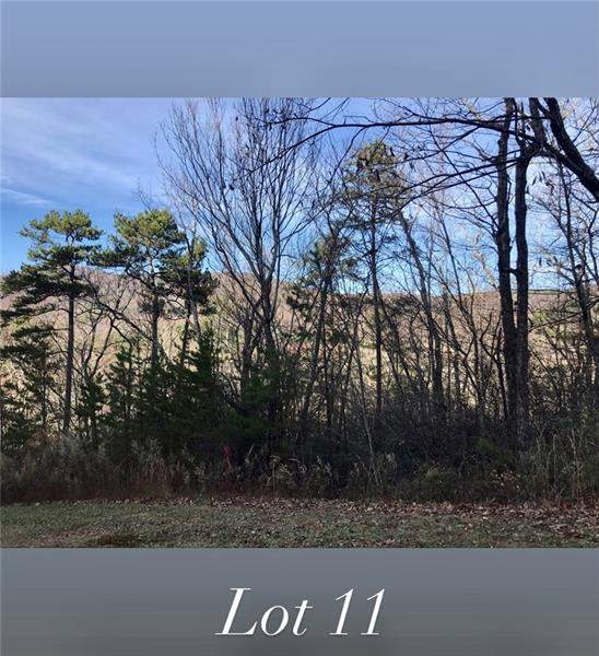 1511 Orchard Hills Drive, Clarkesville, GA 30523 MLS 6816006