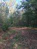 00 Highway 515, Jasper, GA 30143