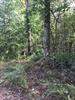 00 Highway 515, Jasper, GA 30143