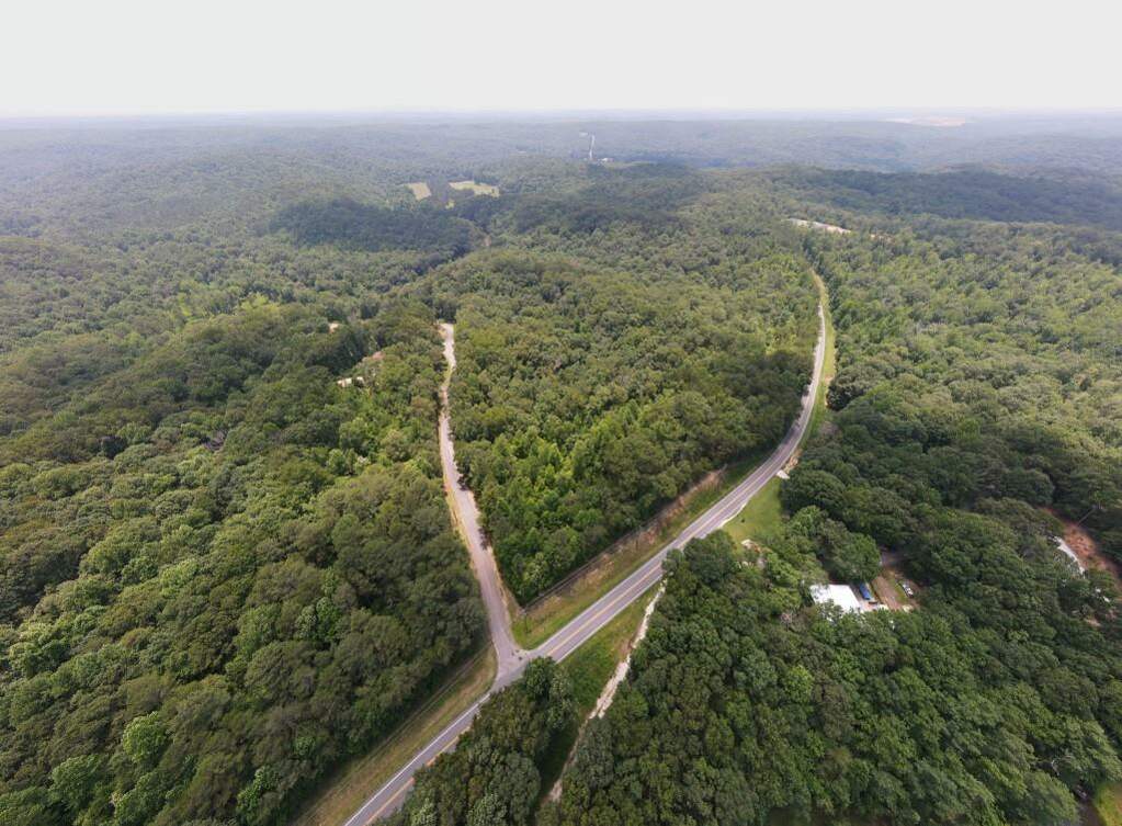 000 Kelly Bridge Road, Dawsonville, GA 30534 MLS 7245944 Ansley