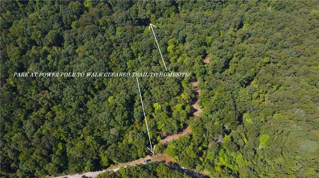 000011 Brushy Mountain Road, Rockmart, GA 30153 MLS 7389989 Ansley