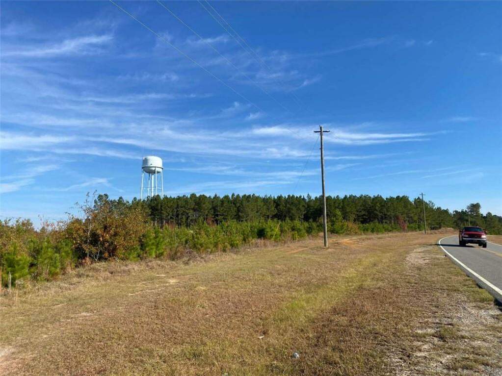 225 Cross Cedar Road, Wrightsville, GA 31096 MLS 7410505 Ansley