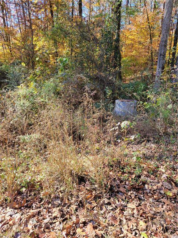 5008 Hidden Branch Drive, Sugar Hill, GA 30518