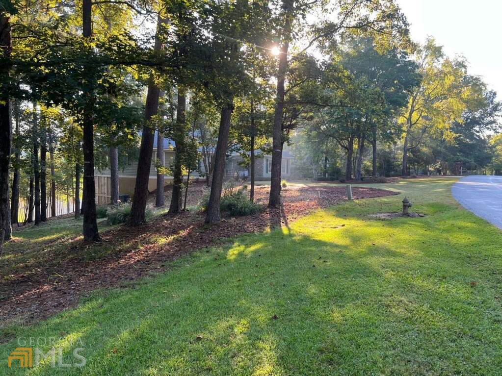 1190 Springs Drive, Greensboro, GA 30642 MLS 10095604