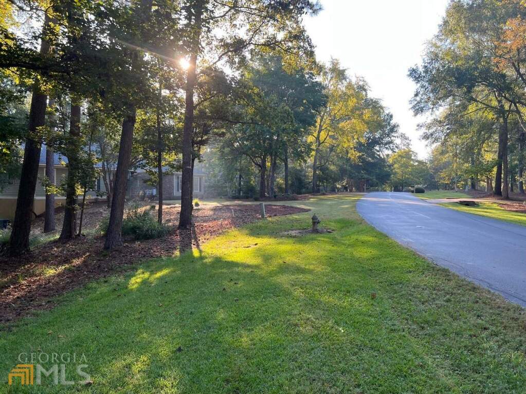 1190 Springs Drive, Greensboro, GA 30642 MLS 10095604 Ansley Real Estate