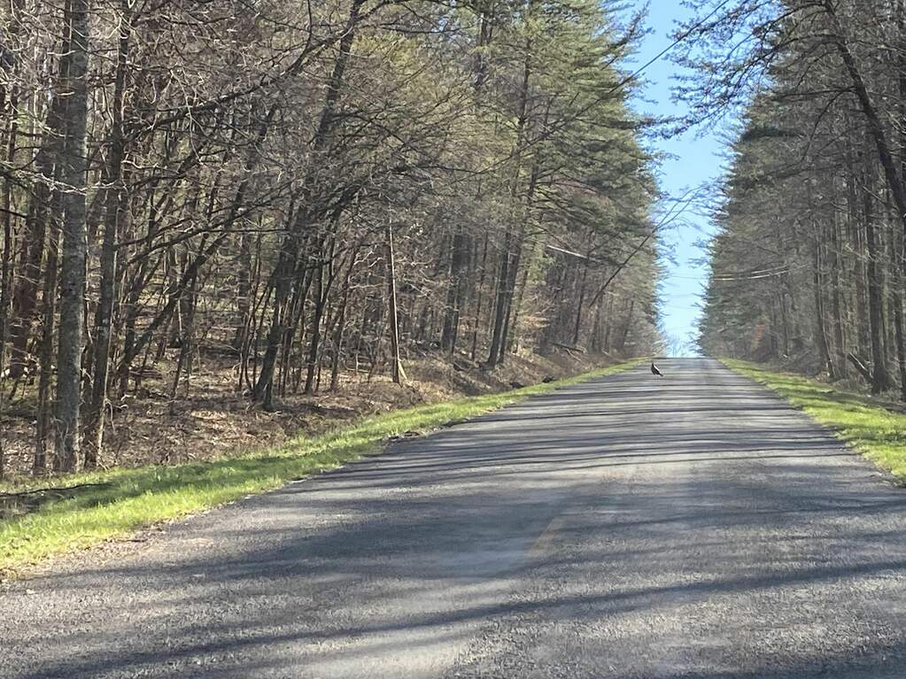 10880 Big Creek Road 310, Ellijay, GA 30536 MLS 10137236 Ansley