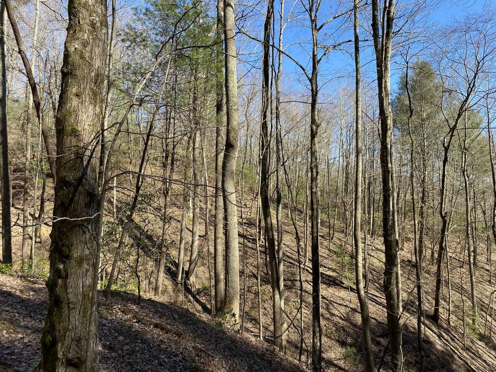 10880 Big Creek Road 310, Ellijay, GA 30536 MLS 10137236 Ansley