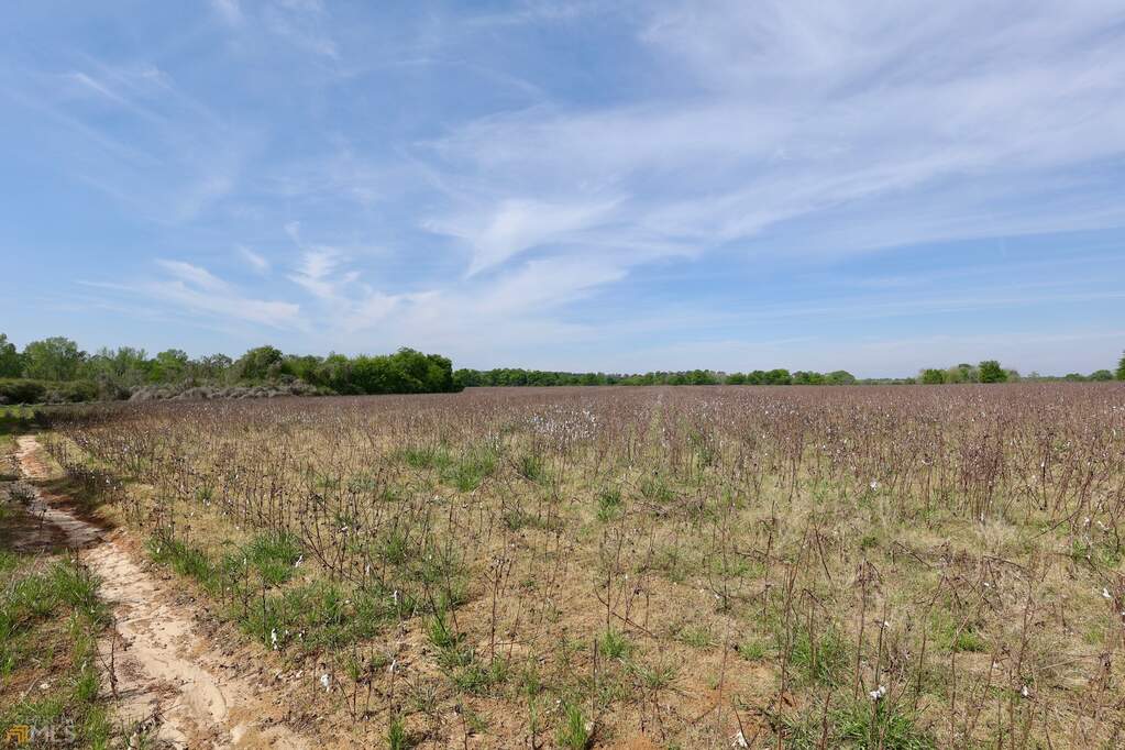 5372 Chancey Mill Road, Blakely, GA 39823 MLS 10143847 Ansley Real