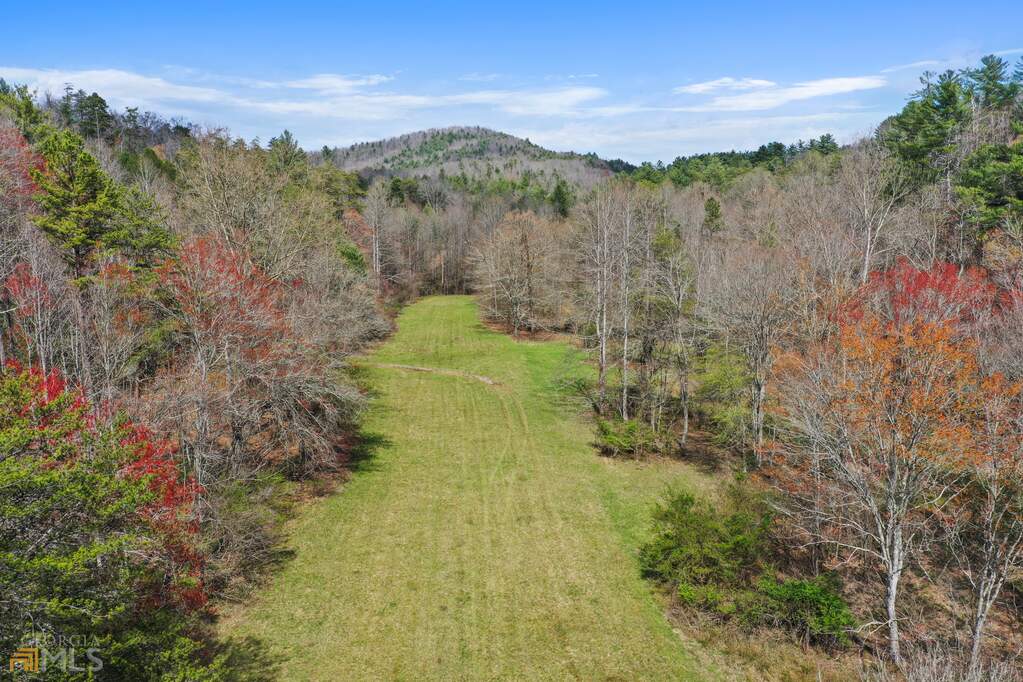 000 Aska Road, Blue Ridge, GA 30513 MLS 10145980 Ansley Real Estate
