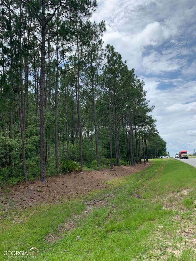 0 Blackshear Highway, Baxley, GA 31513 MLS 10165857 Ansley Real Estate