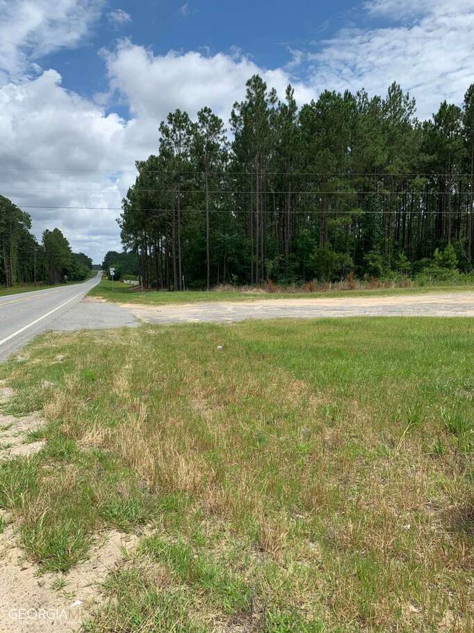 0 Blackshear Highway, Baxley, GA 31513 MLS 10165857 Ansley Real Estate