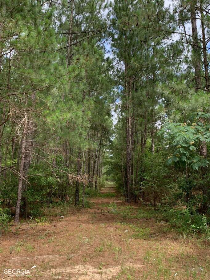 0 Blackshear Highway, Baxley, GA 31513 MLS 10165857 Ansley Real Estate