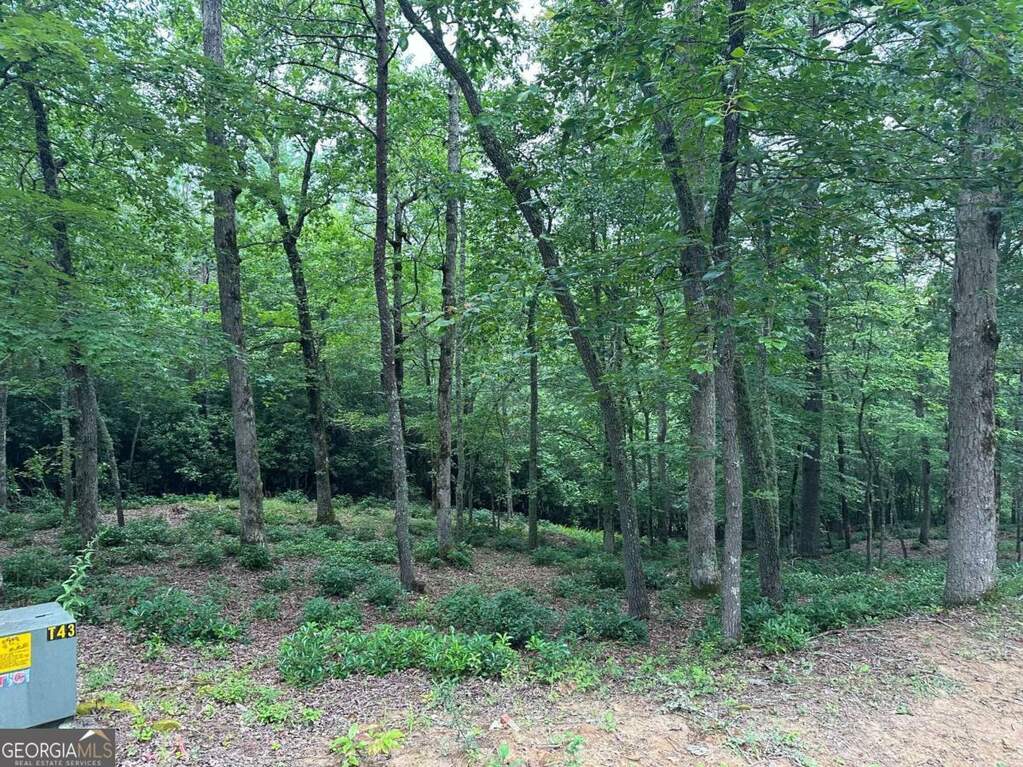 LOT 20 Brasstown Trails 20, Warne, NC 28909 MLS 10243212 Ansley Real Estate