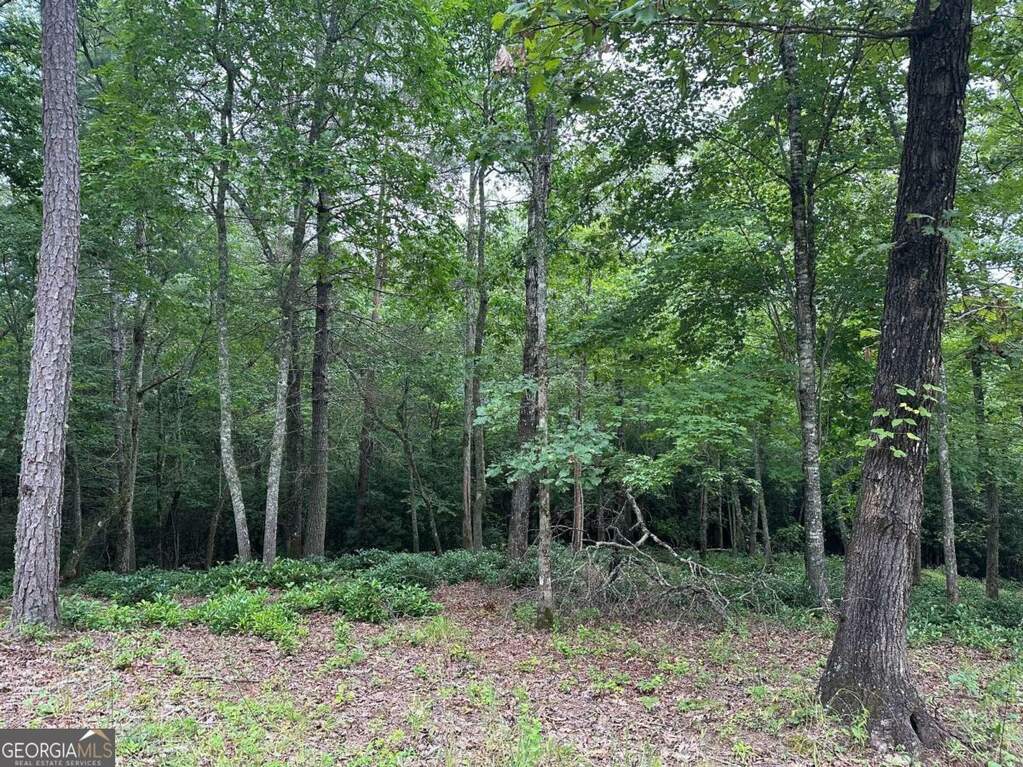 LOT 20 Brasstown Trails 20, Warne, NC 28909 MLS 10243212 Ansley Real Estate