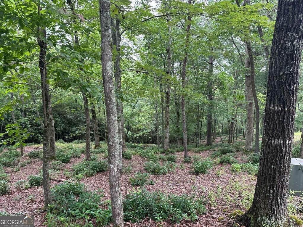 LOT 20 Brasstown Trails 20, Warne, NC 28909 MLS 10243212 Ansley Real Estate