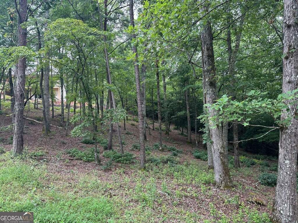 LOT 20 Brasstown Trails 20, Warne, NC 28909 MLS 10243212 Ansley Real Estate