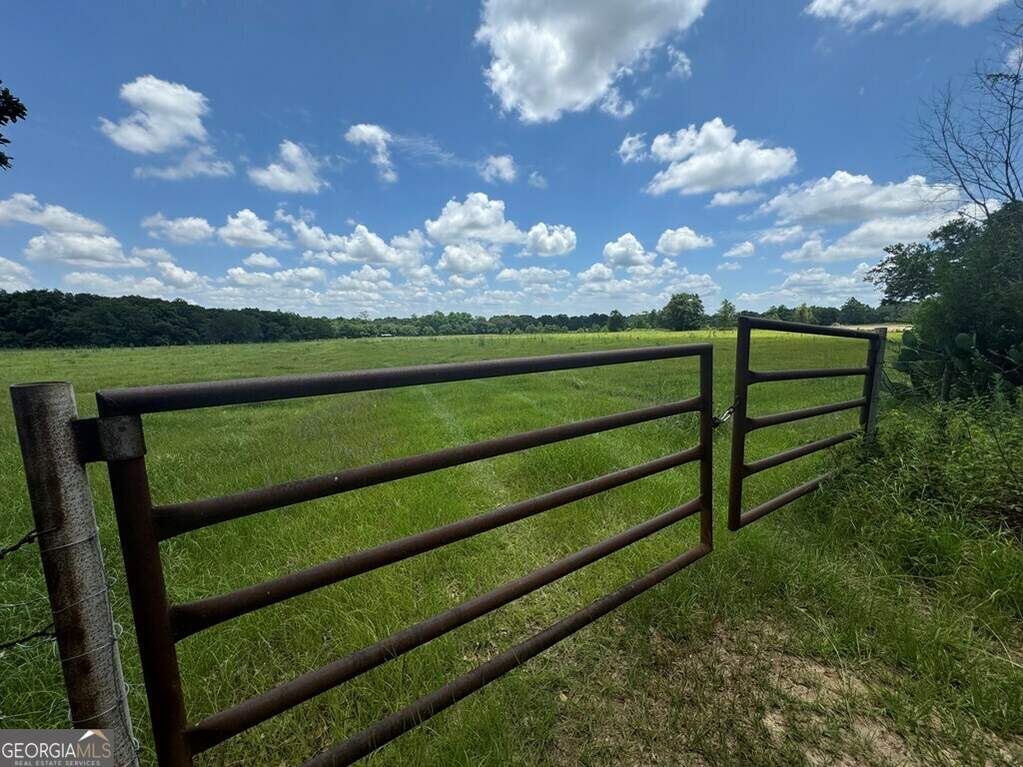 00 Wilcox Rd., Cairo, GA 39827 MLS 10315863 Ansley Real Estate