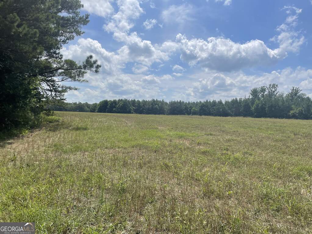 0 Cannon Road, Sharpsburg, GA 30277