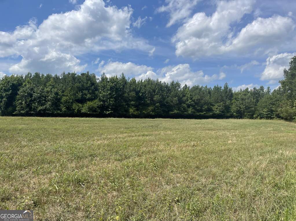0 Cannon Road, Sharpsburg, GA 30277