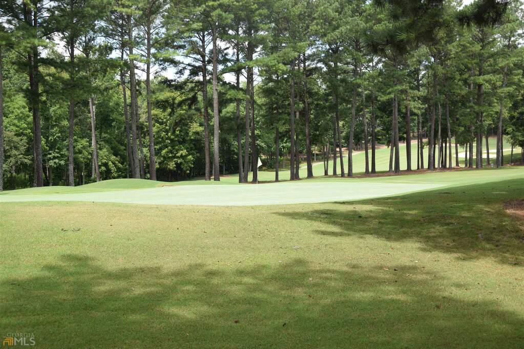 1061 Winged Foot Drive, Greensboro, GA 30642 MLS 20107964 Ansley