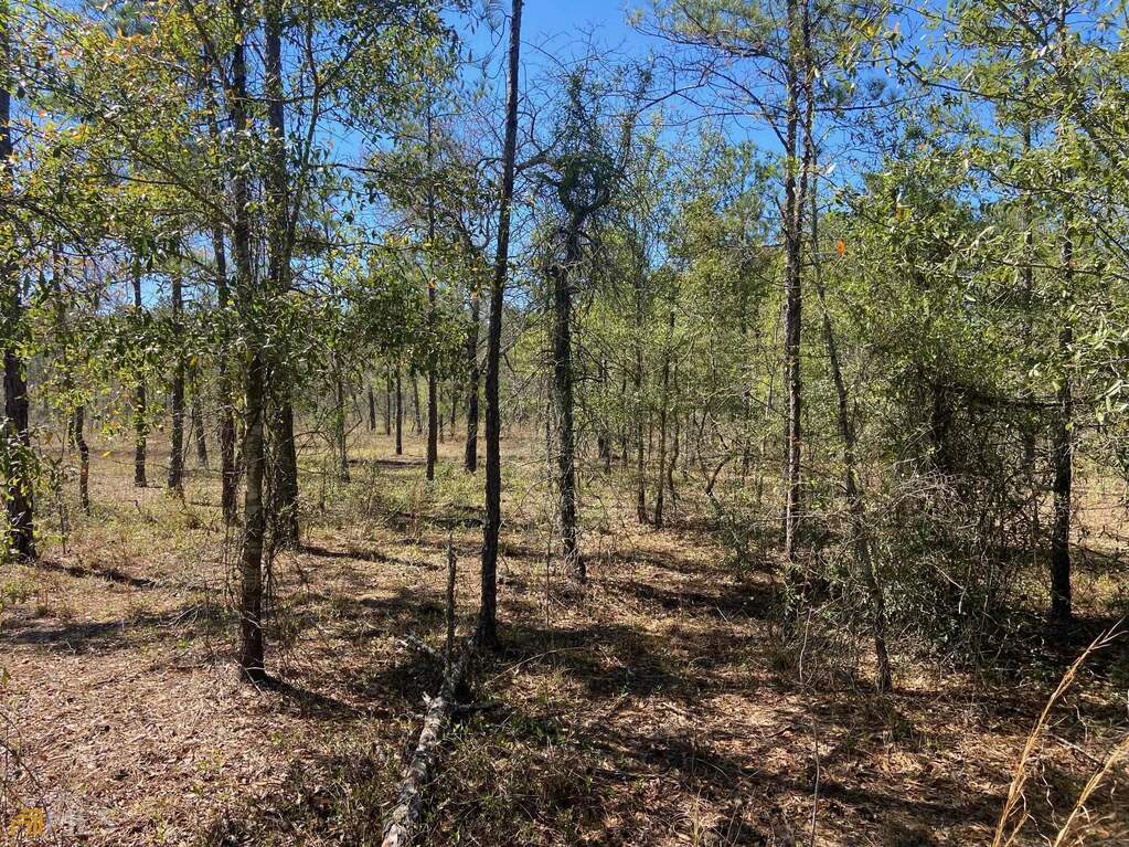 0 Ben Grady Collins Road, Portal, GA 30450 MLS 20109383 Ansley