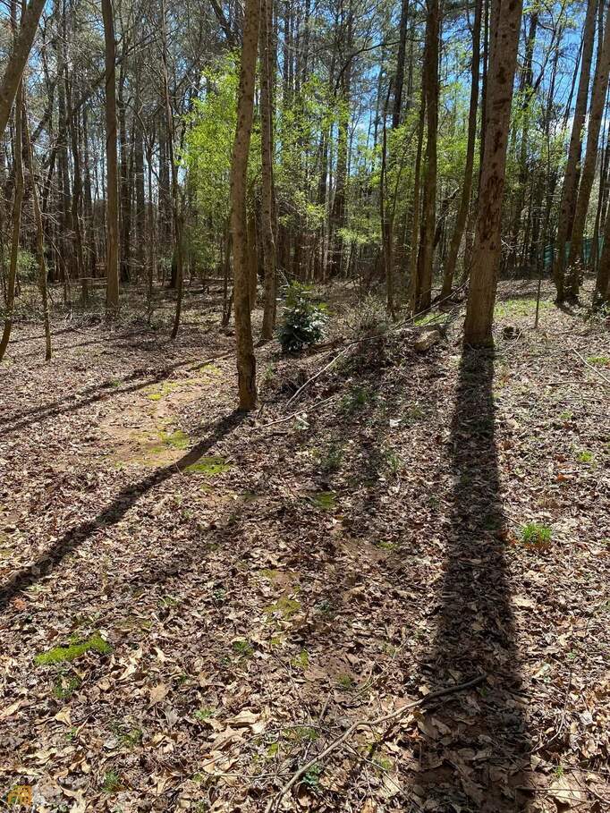 1124 Country Club Road, Newnan, GA 30263 MLS 20109824 Ansley Real