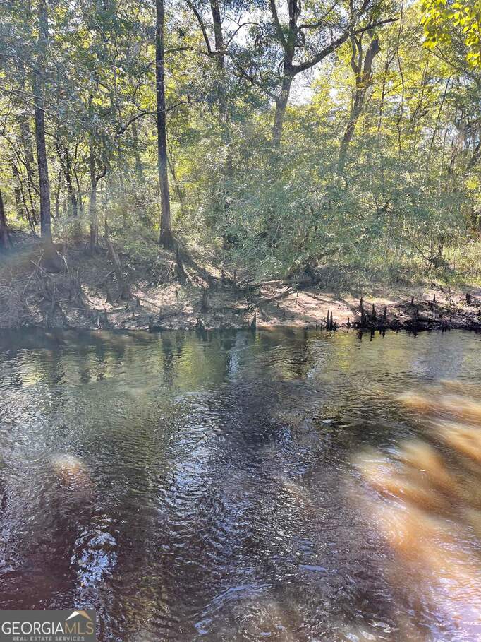 4980 Coleman Bridge Spur Road, Cobbtown, GA 30420 MLS 20152504