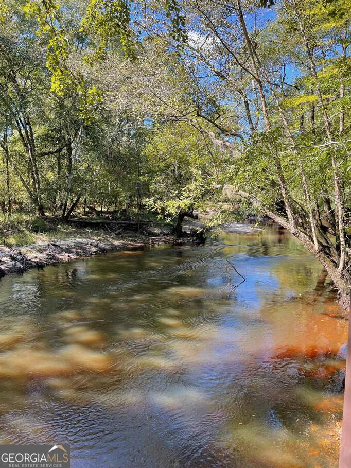 4980 Coleman Bridge Spur Road, Cobbtown, GA 30420 MLS 20152504