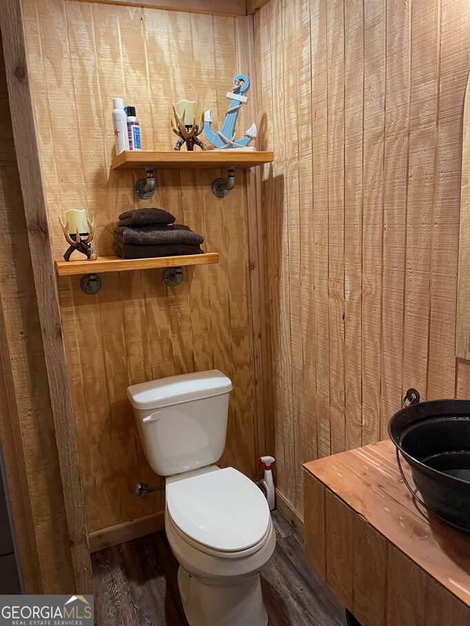 4980 Coleman Bridge Spur Road, Cobbtown, GA 30420 MLS 20152504