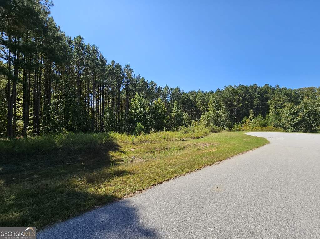 1223 Edge Lane, Tignall, GA 30668 MLS 20154152 Ansley Real Estate