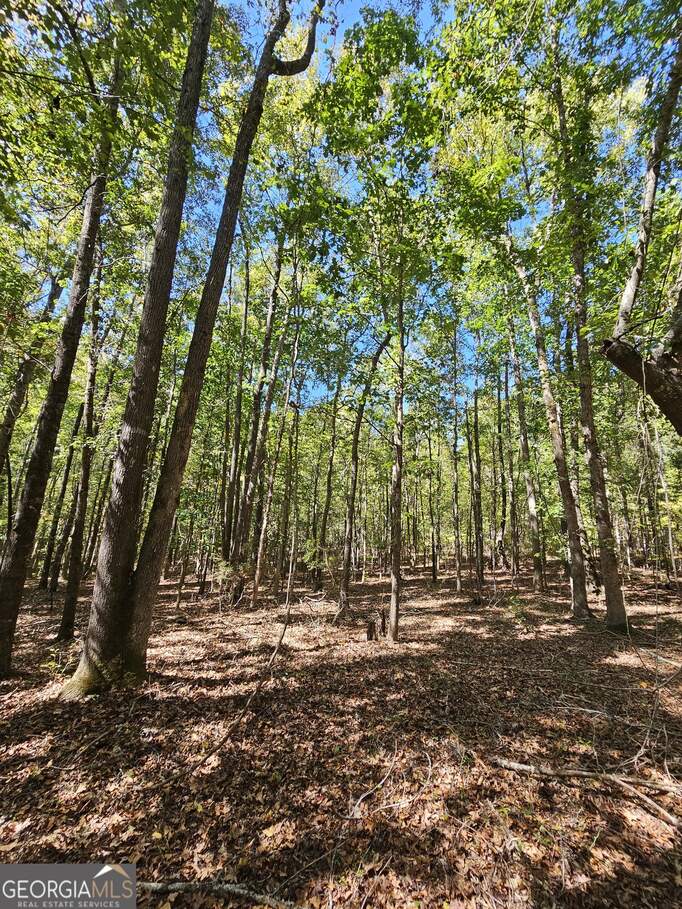 1223 Edge Lane, Tignall, GA 30668 MLS 20154152 Ansley Real Estate