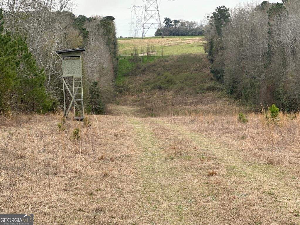 0 Griffin Landing Road, Girard, GA 30426 MLS 20175633 Ansley Real