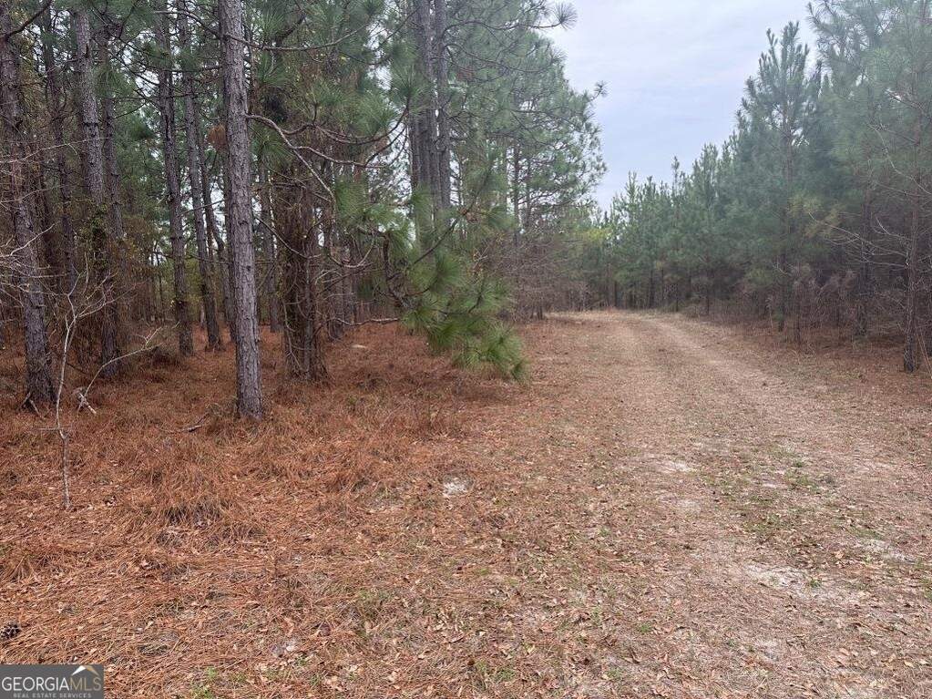 0 Griffin Landing Road, Girard, GA 30426 MLS 20175633 Ansley Real