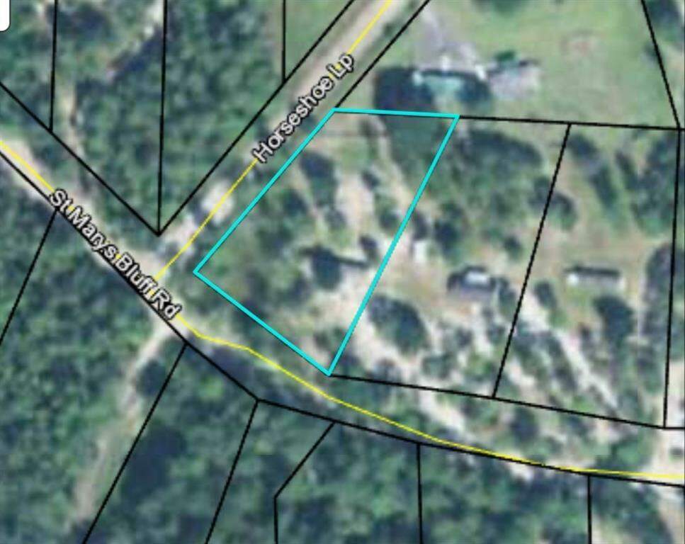 1620 St Mary's River Bluff Road