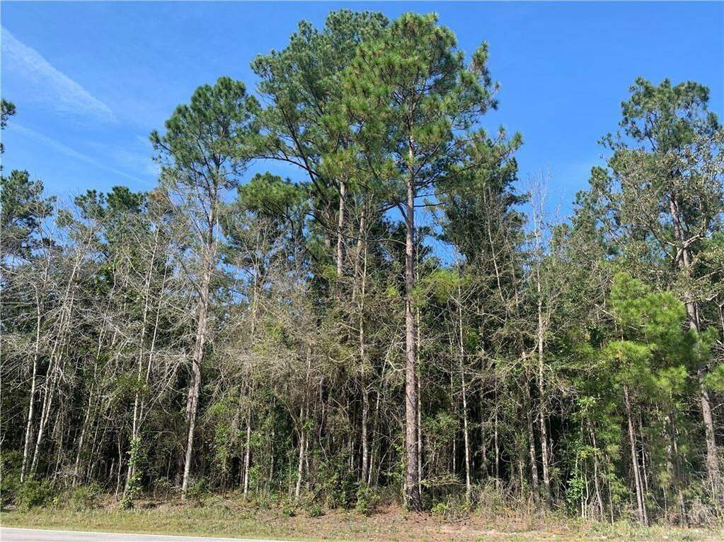 7.24 Acres Harris Neck Road, Townsend, GA 31331 MLS 1633760 Ansley