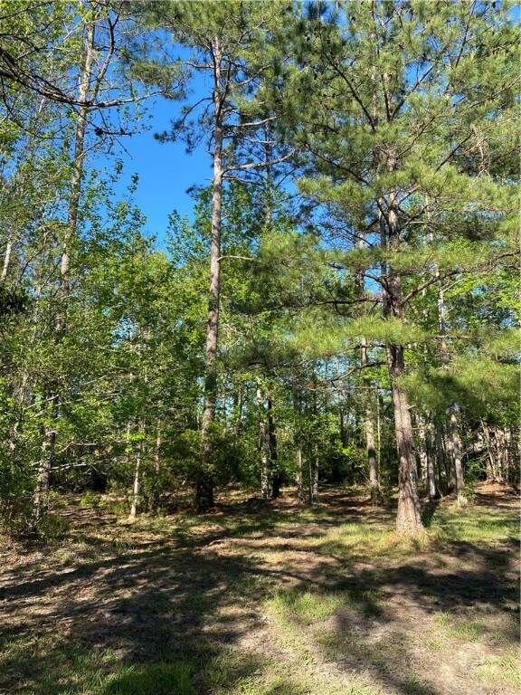 0 Shellman Bluff (parcel B) Road, Townsend, GA 31331 MLS 1639278