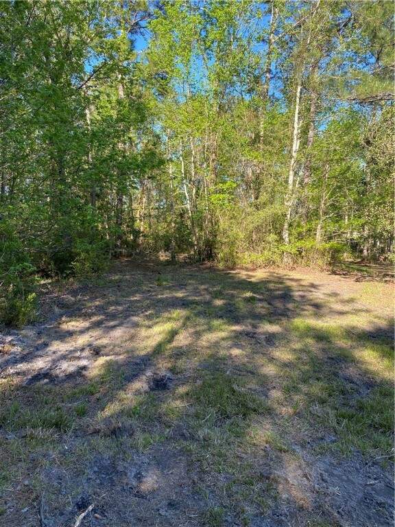 0 Shellman Bluff (parcel B) Road, Townsend, GA 31331 MLS 1639278