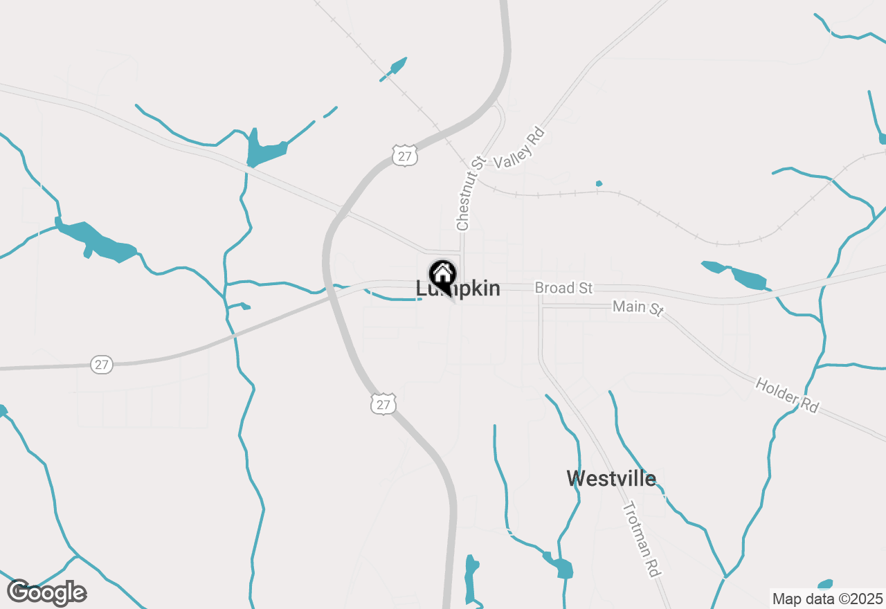 Map of 8 Old Chestnut Street, Lumpkin, GA 31815