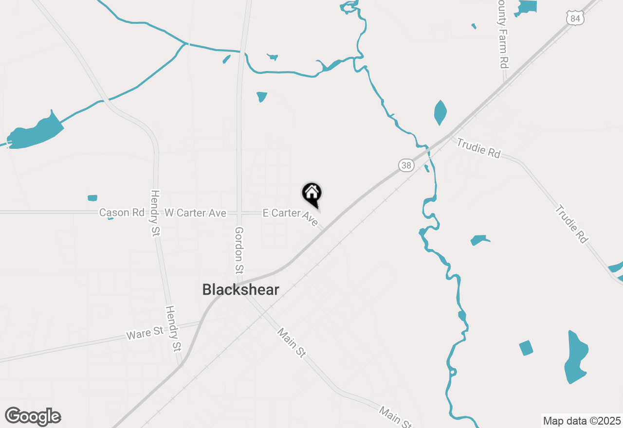 Map of 501 E Carter Avenue, Blackshear, GA 31516