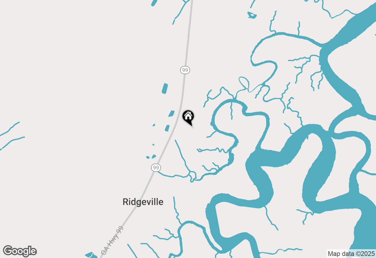 Map of 0 Hwy 99 Highway, Darien, GA 31305